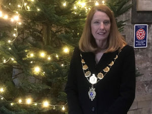 Supporting image for story: Shrewsbury Tree of Light raises thousands of pounds