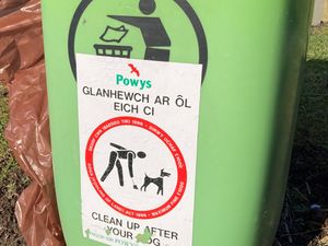 Supporting image for story: Owners of dogs caught fouling, can still be prosecuted by council