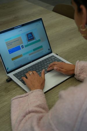 Virtual Work Experience