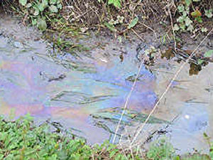 Supporting image for story: Wildlife fear over river pollution