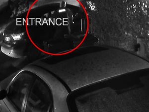 Supporting image for story: Watch as shocking footage shows moment officer is mauled by police dog