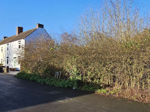 Supporting image for story: Telford wildlife campaigners 'keep watching eye' as hotly contested land goes under the hammer