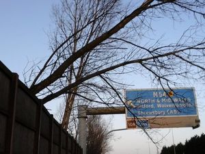 Supporting image for story: M6 blocked off after tree left dangling over carriageway