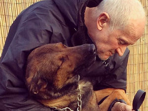 Supporting image for story: Shropshire police dog handler loses fight to keep German Shepherd Ivy when he retires