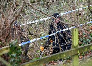 Police search the area with metal detectors and rakes