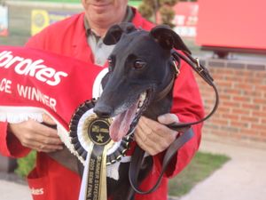 Supporting image for story: Monmore ready for its big night