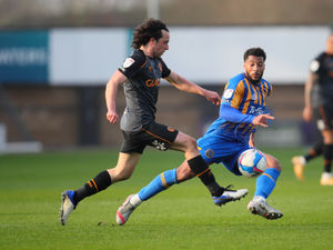 Supporting image for story: David Davis hailed for Shrewsbury displays