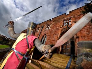 Supporting image for story: Historic knights in call to arms for reenactments