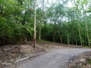 The woods which have been put on the market for £27,000.