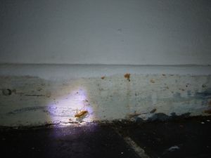 Supporting image for story: Calls made to expose 'appalling' food businesses in Walsall with public ratings