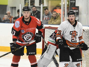 Supporting image for story: Tom Watkins wants quick response from Telford Tigers