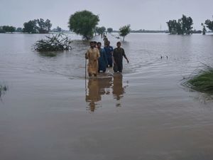 Supporting image for story: Climate change blamed as Pakistan’s Punjab endures biggest flood in history