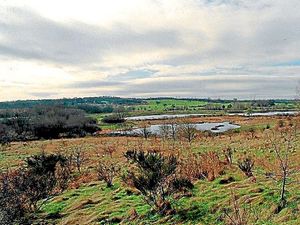 Supporting image for story: Black Country parks in running to win national award - cast your vote