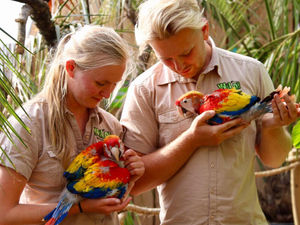 Supporting image for story: Baby boom at Halfpenny Green’s Wild Zoological Park