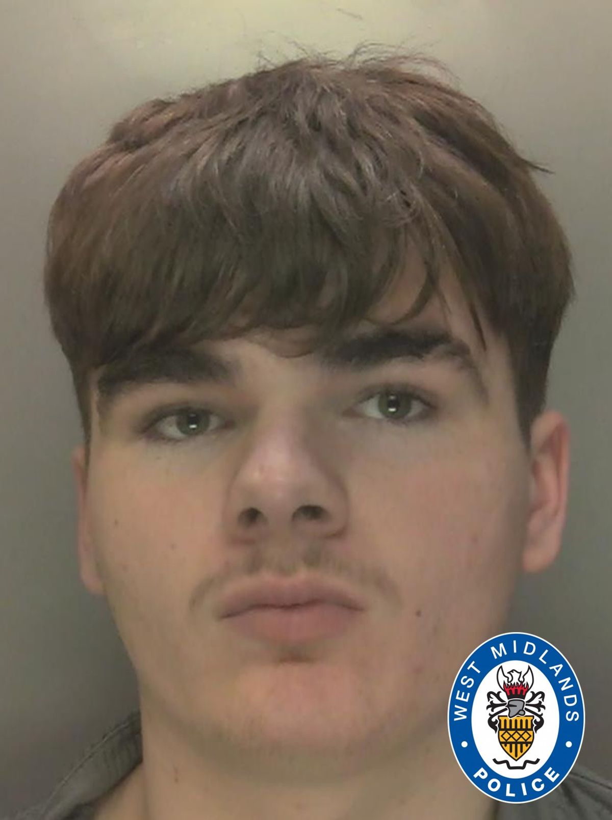 WATCH: Car thief, 19, who used fire extinguisher to damage police pursuit car handed 12-month suspended sentence