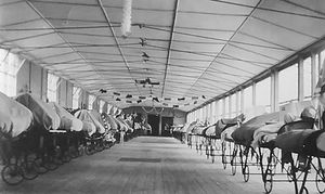 One of the wards.