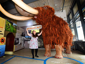 Supporting image for story: Dudley Canal Trust welcomes woolly mammoth