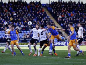 Supporting image for story: 'Off the pace': Shrewsbury Town fans give their take as winning run ends against Walsall