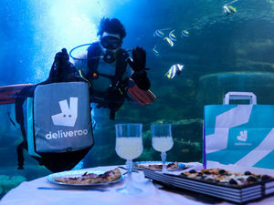 Supporting image for story: Eat with the fishes at unique Birmingham Sea Life Centre event