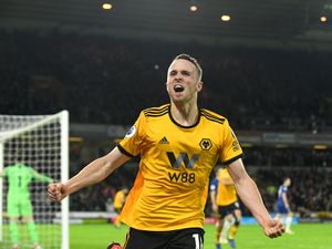 Supporting image for story: Wolves star Diogo Jota: We can win this!