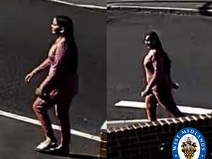 Supporting image for story: Appeal after woman 'attempts to snatch child' from mother