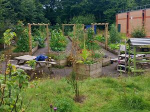 Supporting image for story: A Llandrindod Wells group which aims to produce free, fresh, organically grown food for the community has been given a grant