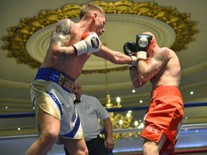 Supporting image for story: Boxing bites the dust too