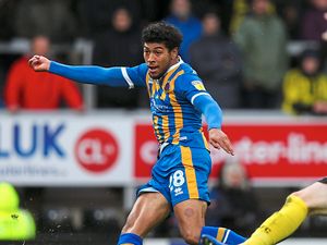 Supporting image for story: Shrewsbury Town's Josh Laurent seeking pointers in bid to improve