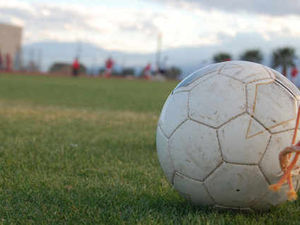 Supporting image for story: Bridgnorth Town and Ellesmere reports