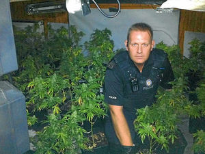 Supporting image for story: £1m of cannabis is seized in two Black Country raids