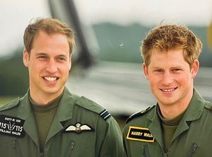 Prince William and Harry (Picture Ian Forshaw)