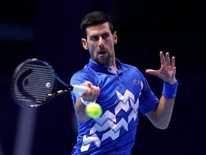 Supporting image for story: Rare snail species named after tennis star Novak Djokovic