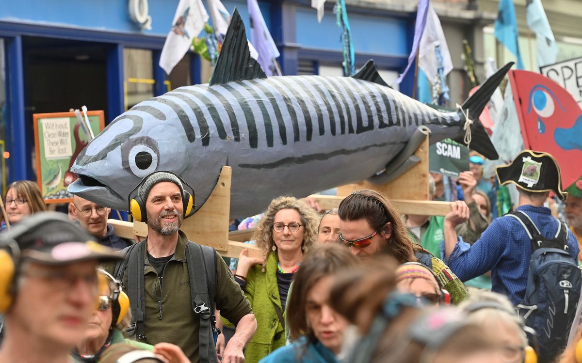 In pictures: River campaigners march giant fish through Shrewsbury town centre