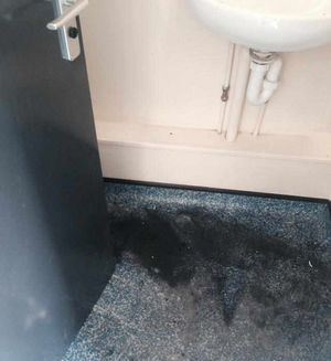 Fire damage at the pavilion in Bowring Park, Wellington