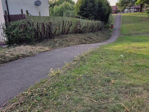 Supporting image for story: 'Brutal' hedge chop job in Dudley sparks a row with a local councillor 'demanding answers' - here's where it happened