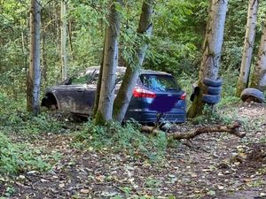 Supporting image for story: Two stolen cars found dumped in Telford woodland
