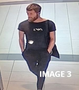 Police hope this individual can help them solve the crime.