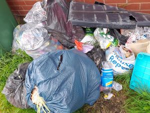 Supporting image for story: Dawley resident hit with £1,500 court bill for dumping rubbish outside her own home