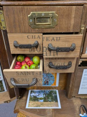 Explore the Hey! Earthlings! Cabinet!