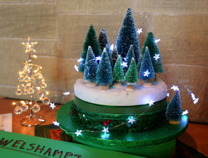 Gill's Christmas tree cake
