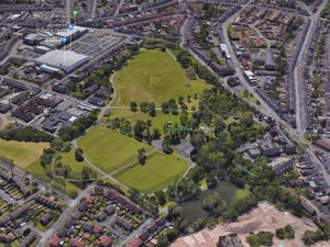 Supporting image for story: Dead geese left rotting in pool at Black Country park