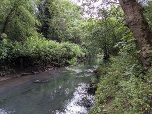 Supporting image for story: Wildlife project will transform River Stour into source of pride