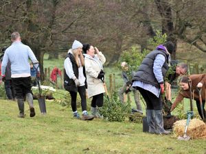 Supporting image for story: Community owned farm invites potential volunteers to learn about farm life