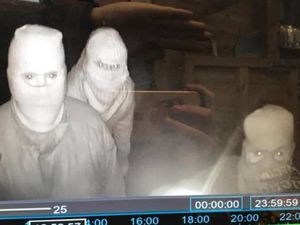 Supporting image for story: Caught on CCTV: Thieves steal £13,500 mini-digger from Telford's Exotic Zoo 