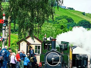 Supporting image for story: Railway to celebrate with eight-mile long firework display