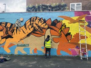 Supporting image for story: Have your say on Lichfield mural