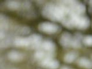 Supporting image for story: Tributes paid to"hardworking" and enthusiastic" Market Drayton man