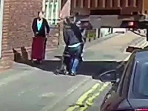 Supporting image for story: VIDEO: Dash-cam footage catches dramatic moment dog-walker nearly DECAPITATED by lorry