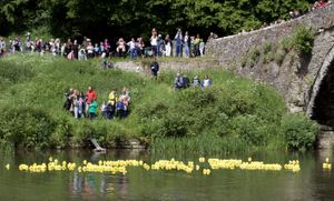 The duck race from last year.