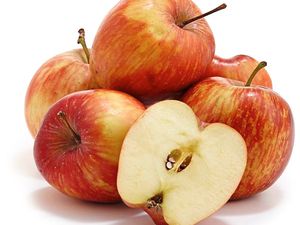 Supporting image for story: Peter Rhodes apologises for the rail chaos. Plus nature's unwanted bounty and lazy workers